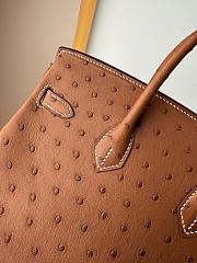 Hermes Birkin Bag Tan Ostrich Silver 25cm - 2