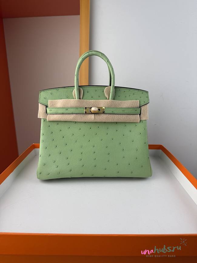 Hermes Birkin Bag Green Ostrich Gold 25cm - 1