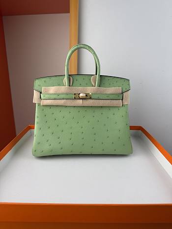 Hermes Birkin Bag Green Ostrich Gold 25cm
