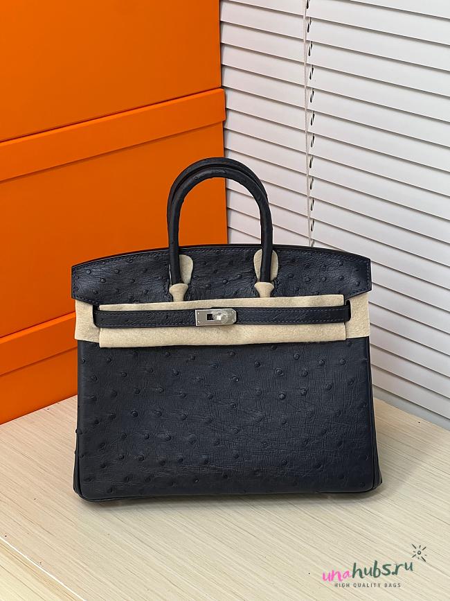 Hermes Birkin Bag Black Ostrich Silver 25cm - 1