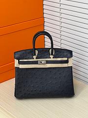 Hermes Birkin Bag Black Ostrich Silver 25cm - 1