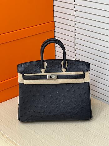 Hermes Birkin Bag Black Ostrich Silver 25cm