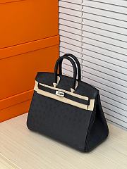 Hermes Birkin Bag Black Ostrich Silver 25cm - 4