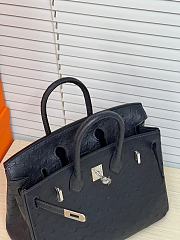 Hermes Birkin Bag Black Ostrich Silver 25cm - 2