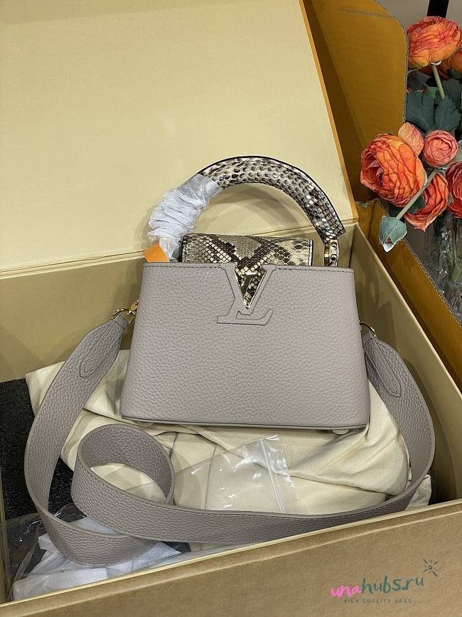 Louis Vuitton Mini Capucines Crocodile and Leather 21x14x8cm - 1