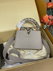 Louis Vuitton Mini Capucines Crocodile and Leather 21x14x8cm - 1