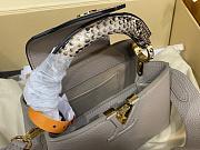 Louis Vuitton Mini Capucines Crocodile and Leather 21x14x8cm - 5