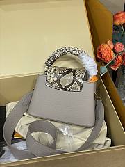 Louis Vuitton Mini Capucines Crocodile and Leather 21x14x8cm - 3