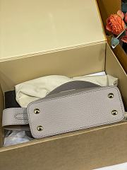 Louis Vuitton Mini Capucines Crocodile and Leather 21x14x8cm - 2