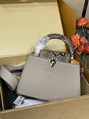 Louis Vuitton Capucines BB Crocodile and Leather 27x17.3x9cm - 1