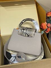 Louis Vuitton Capucines BB Crocodile and Leather 27x17.3x9cm - 5