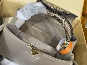 Louis Vuitton Capucines BB Crocodile and Leather 27x17.3x9cm - 2