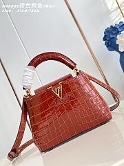 Louis Vuitton Mini Capucines Crocodile 21cm - 1