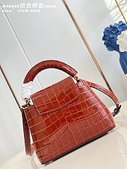 Louis Vuitton Mini Capucines Crocodile 21cm - 3