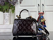 Louis Vuitton Cluny Mini Datewood 20x16x7.5cm - 4