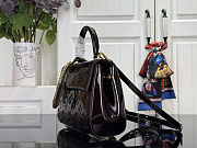 Louis Vuitton Cluny Mini Datewood 20x16x7.5cm - 3