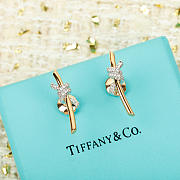 Tiffany & Co Earrings - 3