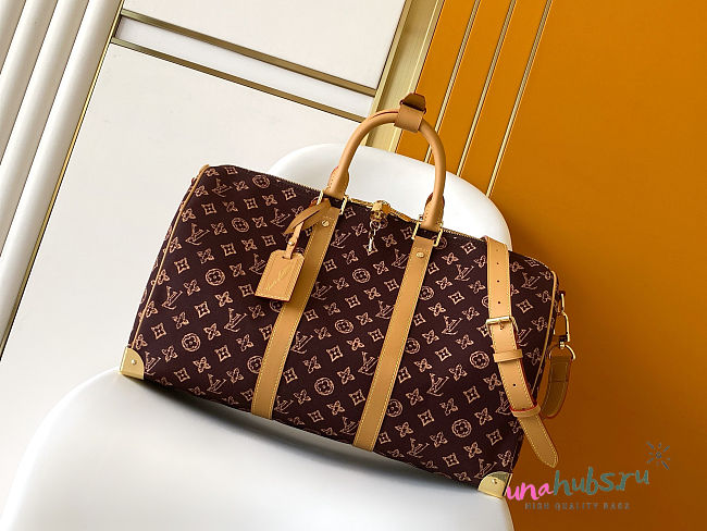 Louis Vuitton Keepall Trunk 45 Ebene 45x27x20cm - 1