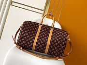 Louis Vuitton Keepall Trunk 45 Ebene 45x27x20cm - 4