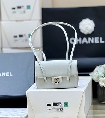 Chanel Small Flap Bag Light Green Calfskin Gold 22x15x7cm