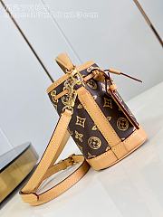 Louis Vuitton Nano Noé Monogram 16x13x10cm - 2