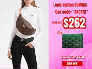 Louis Vuitton BUMBAG M43644 - 1