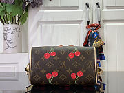 Louis Vuitton  LV x TM Speedy Cherry 20 20.5x13.5x12cm - 4
