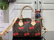 Louis Vuitton  LV x TM Speedy Cherry 20 20.5x13.5x12cm - 3