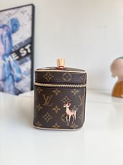 Louis Vuitton Nice Mini 20x13.5x12cm - 5
