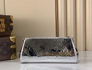 Louis Vuitton Pochette Eva Silver 27x11x5cm - 5