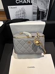Chanel Vanity Case grey Leather Bag 17x9.5x8cm - 1