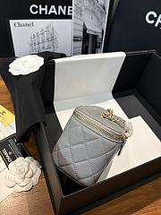 Chanel Vanity Case grey Leather Bag 17x9.5x8cm - 5