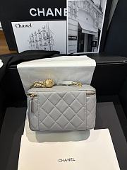 Chanel Vanity Case grey Leather Bag 17x9.5x8cm - 4