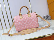 Louis Vuitton Speedy P9 Pink Bag 25x15x15cm - 2