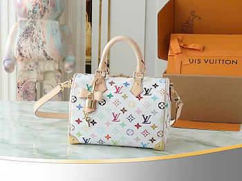 Louis Vuitton Murakami Speedy 25cm