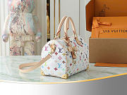 Louis Vuitton Murakami Speedy 25cm - 4