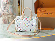 Louis Vuitton Murakami Speedy 25cm - 3