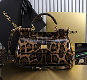 Dolce & Gabbana Sicily Leopard Print 25x17x9cm - Unahubs - 1