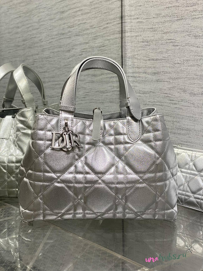 Dior Medium Toujours Bag Silver 28.5x19x21cm - Unahubs - 1