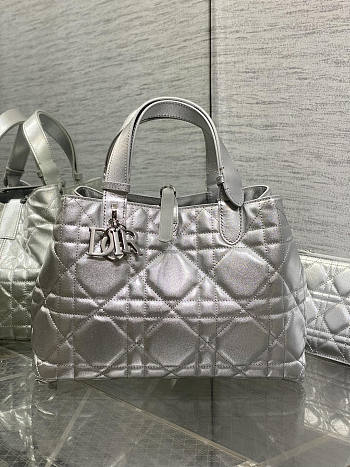 Dior Medium Toujours Bag Silver 28.5x19x21cm - Unahubs
