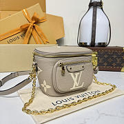 Louis Vuitton LV Mini Bumbag Grey 17x12x9cm - Unahubs - 3