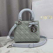 Dior Lady Bag Chain Lily Valley Green 20x18x8cm - Unahubs - 1