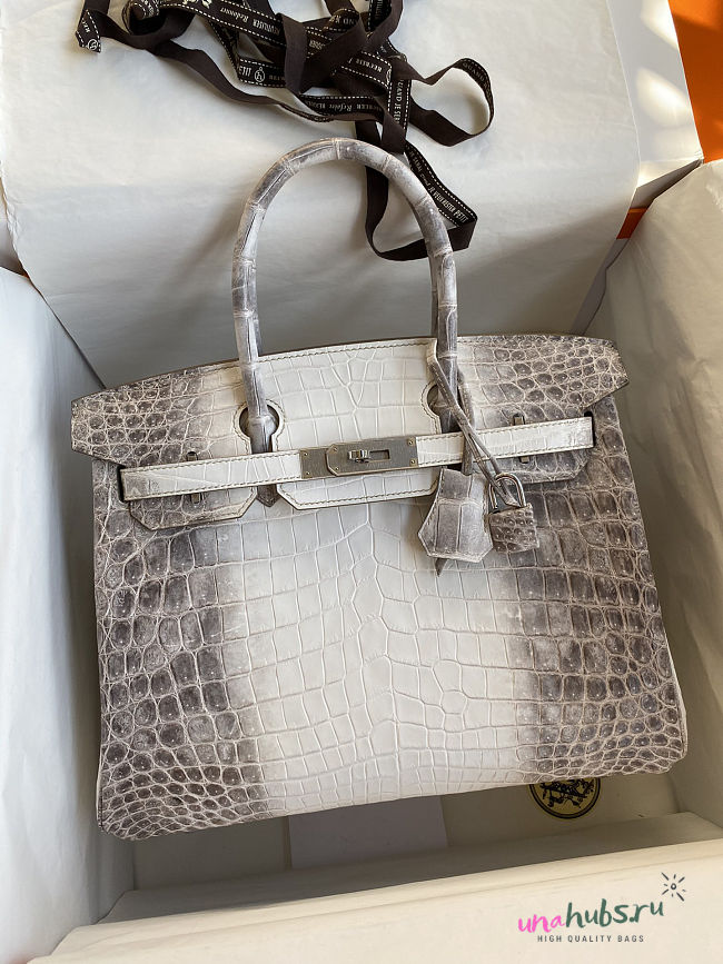 Hermes Birkin 30 Crocodile Nilo White Himalayan Croc - 1