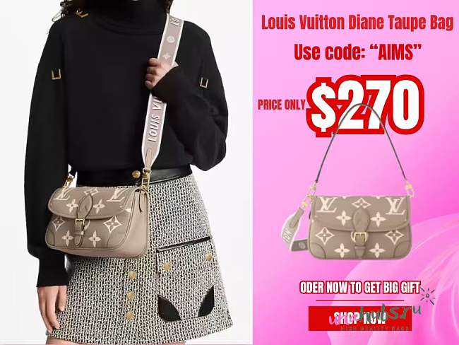 Louis Vuitton Diane Taupe Bag - 23x16x8.5cm - 1
