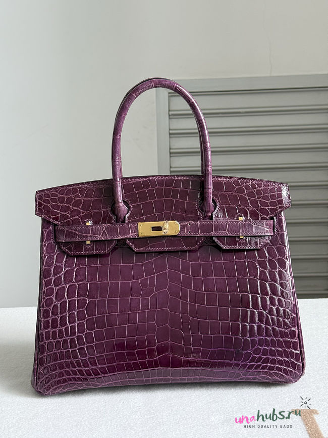Hermes Birkin Purple Crocodile Gold  - 1