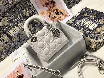 Lady Dior mini 1567