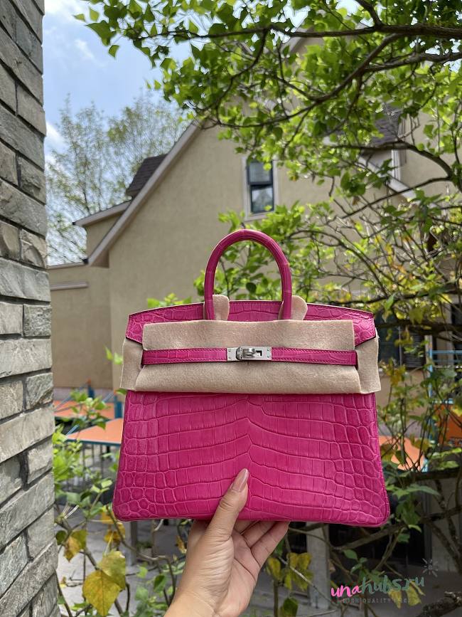 Hermes Birkin Fuchsia Bag Silver - 1