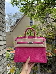 Hermes Birkin Fuchsia Bag Silver - 1