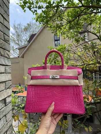 Hermes Birkin Fuchsia Bag Silver
