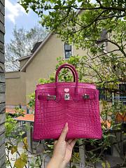 Hermes Birkin Fuchsia Bag Silver - 3